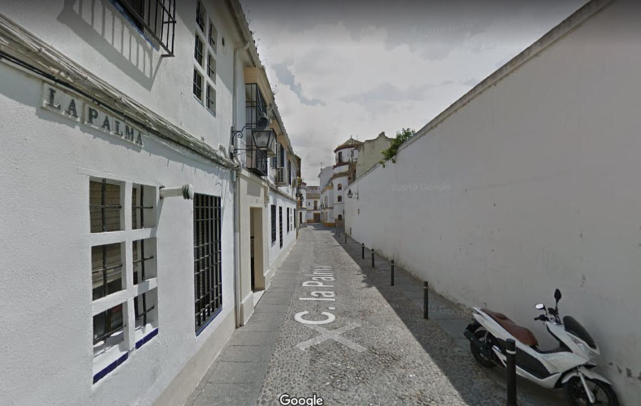 Ferienwohnung Apartamento La Palma Córdoba Exterior foto